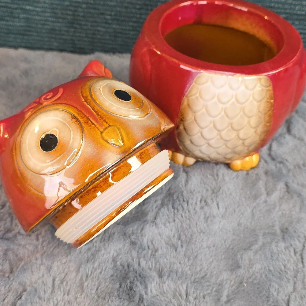 Adorable Owl Ceramic Canister/Cookie Jar Gibson Home